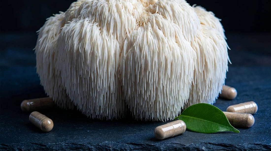 Fresh lion's mane mushroom with supplement capsules on dark slate surface